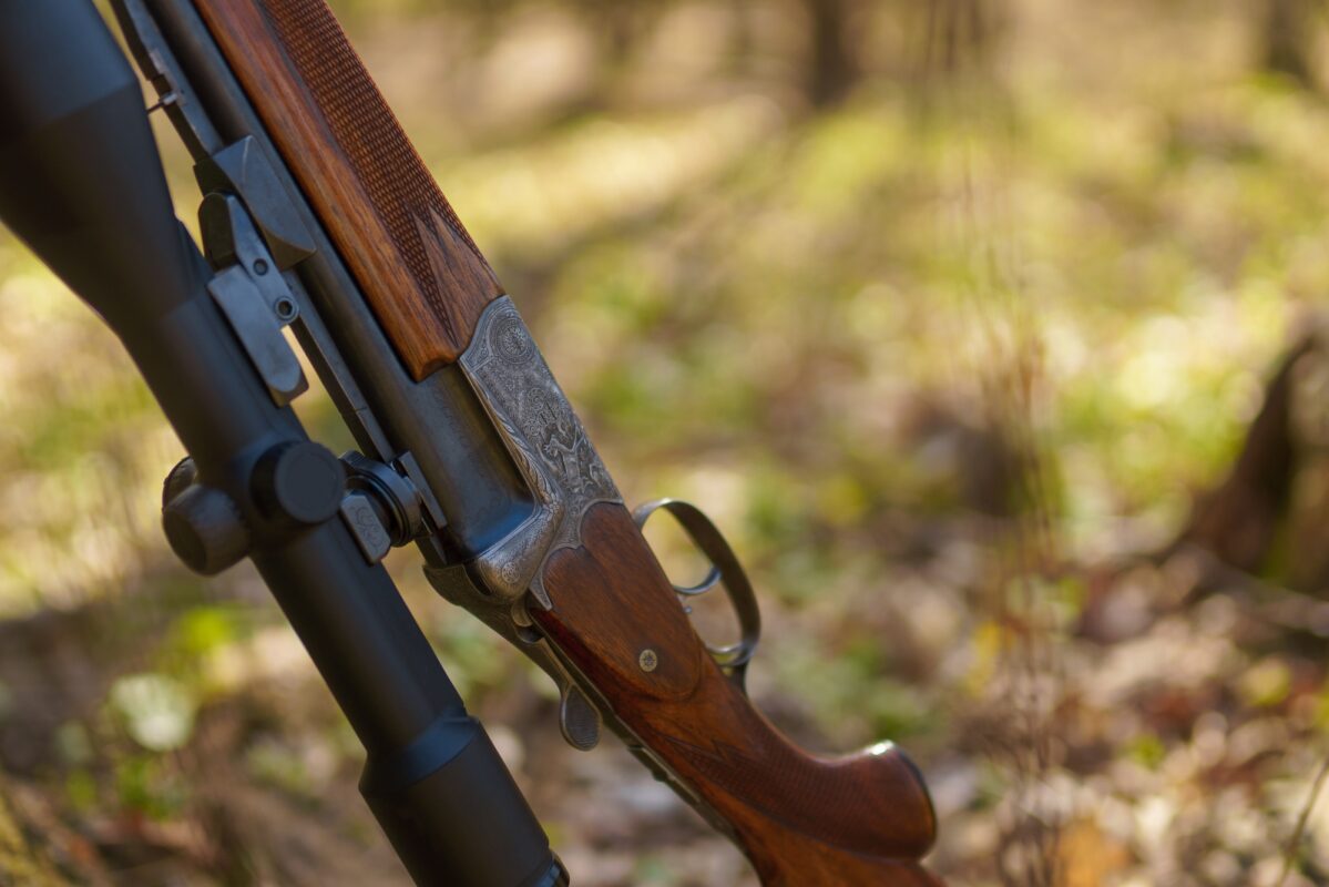 Hunter's rifle gun near tree in forest.