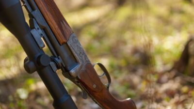 Hunter's rifle gun near tree in forest.