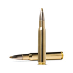 Norma Evostrike 30-06 Spring. 9,0g / 139 gr. - 20 stk.