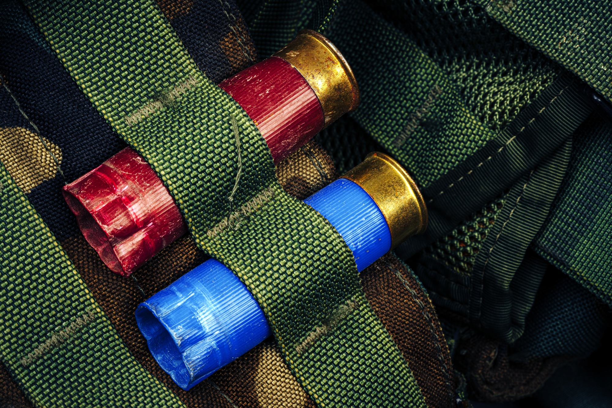 Two hunting cartridges in ammunition belt close up